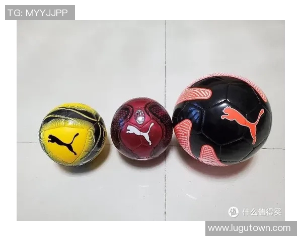 足球小白盘的魅力与技巧解析让你轻松掌握足球基础知识与实战经验