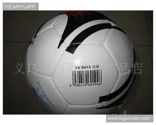 足球稀用途的探讨与分析揭示其在现代社会中的多重价值与影响