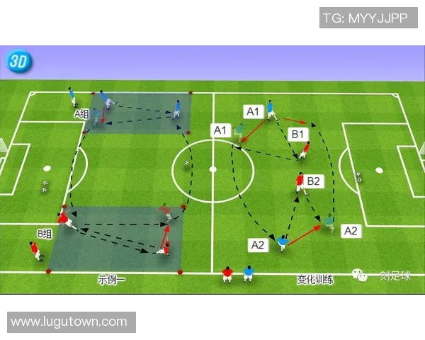 足球D级教案教学设计与实施策略探讨与实践分享