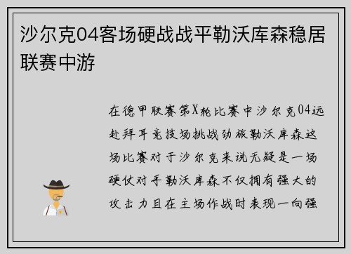 沙尔克04客场硬战战平勒沃库森稳居联赛中游