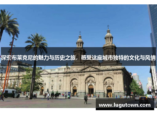 探索布莱克尼的魅力与历史之旅，感受这座城市独特的文化与风情