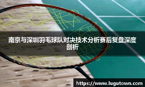 南京与深圳羽毛球队对决技术分析赛后复盘深度剖析